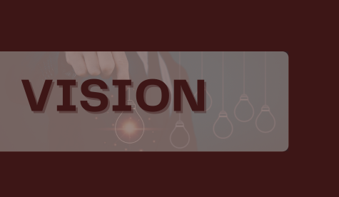 vision