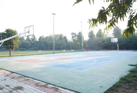 Basketball Court