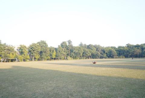 Cricket Ground
