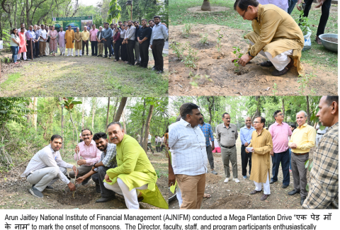 Plantation Drive 2025