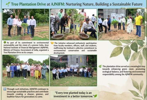 Plantation Drive 2026